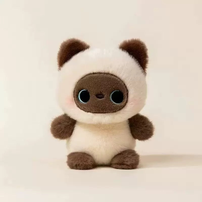 Pockets Cat | Panda acogedor de escritorio de 16 cm