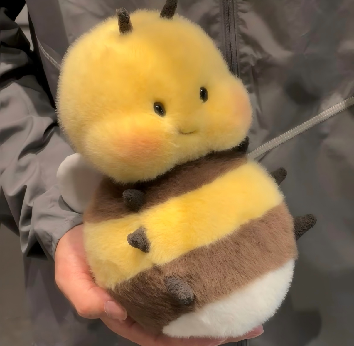 Chubby Bee