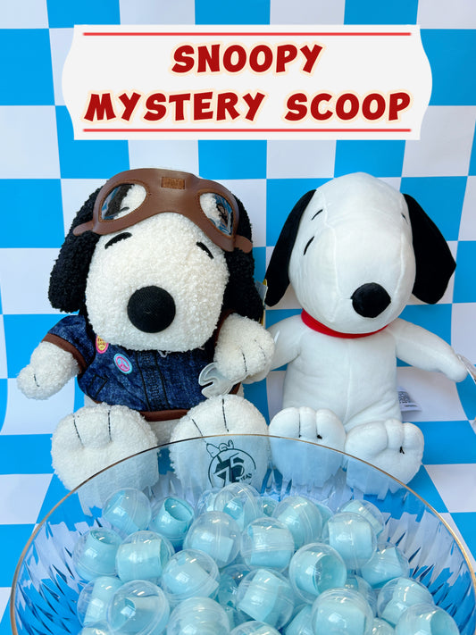 Only Snoopy Mystery Scoop
