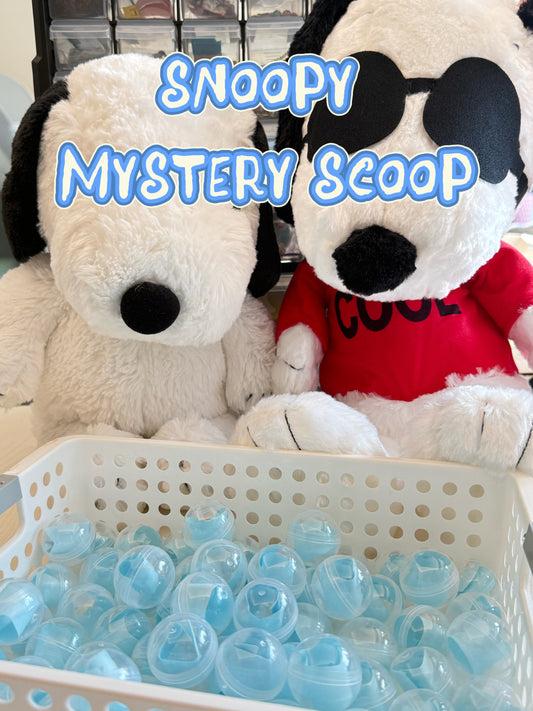 Only Snoopy Mystery Scoop